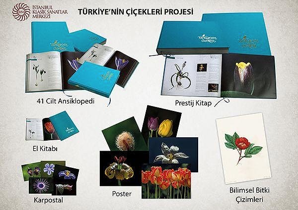 Türkiye'nin Çiçekleri