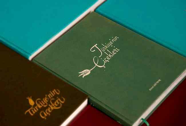 Türkiye'nin Çiçekleri Ansiklopedisi El Kitabı